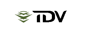 tdvision logo